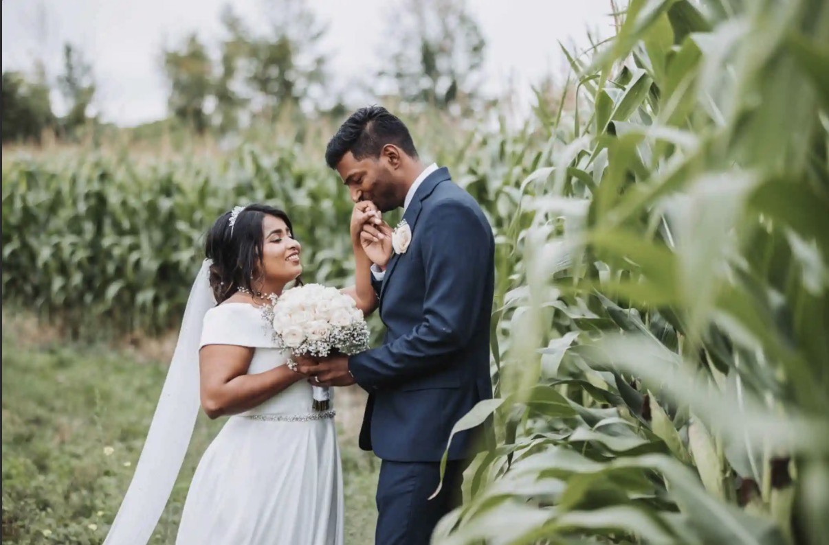 Groom kissing the bride's hand beside the cornfields at the estate