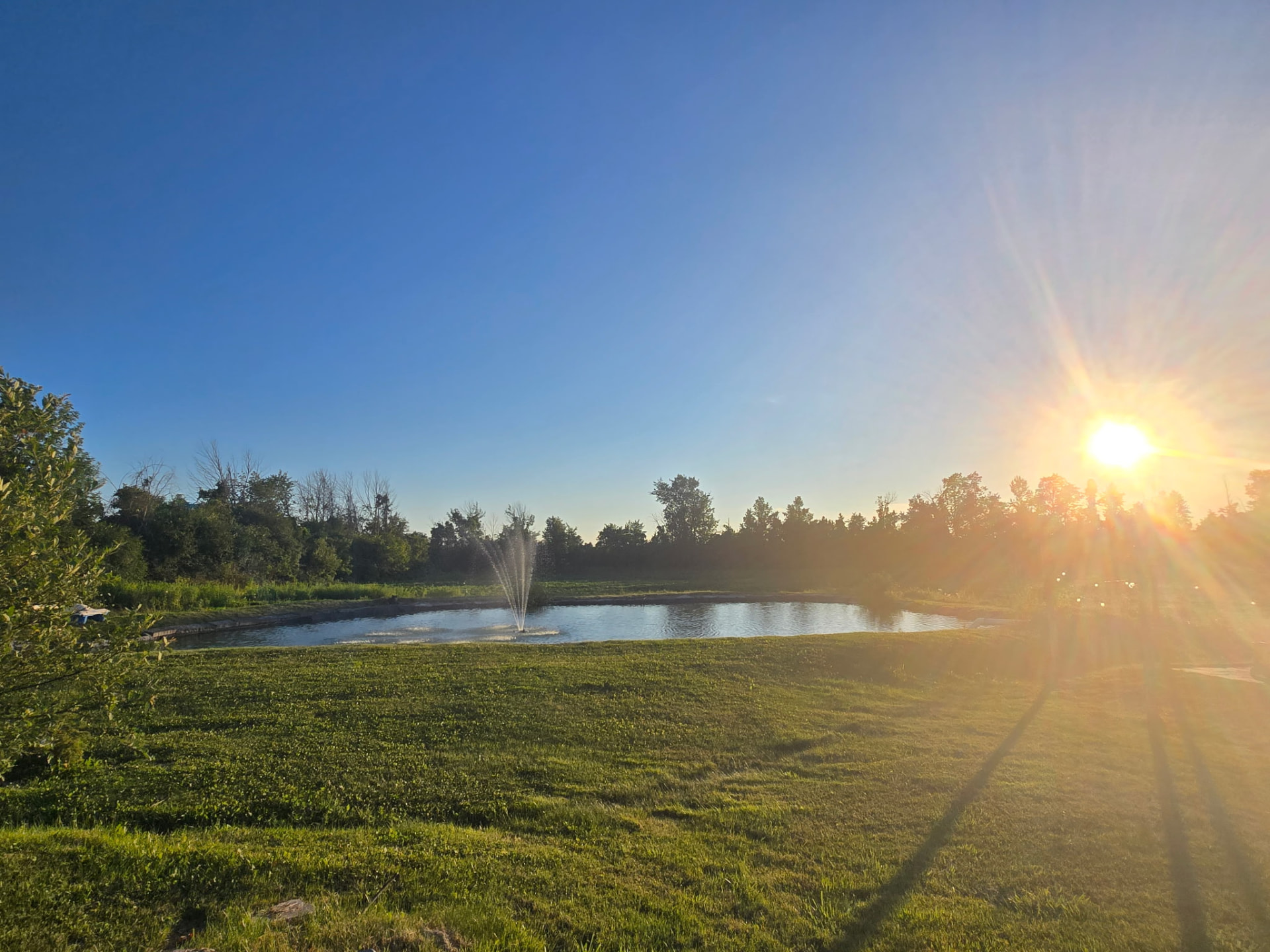 Spring-fed pond with fountain at golden hour on the SV Country Estate grounds
